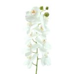 PHALENOPSIS 90CMS TACTO NATURAL