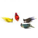 PASSAROS CARDINAL CX. C/12