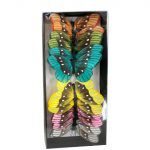 CAIXA BORBOLETA 12UNID