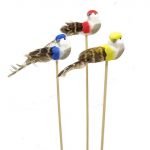 PASSAROS CX. C/12 SORTIDOS