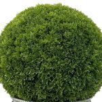 BOLA VERDE DEDORATIVA CIPRESTE 37CM