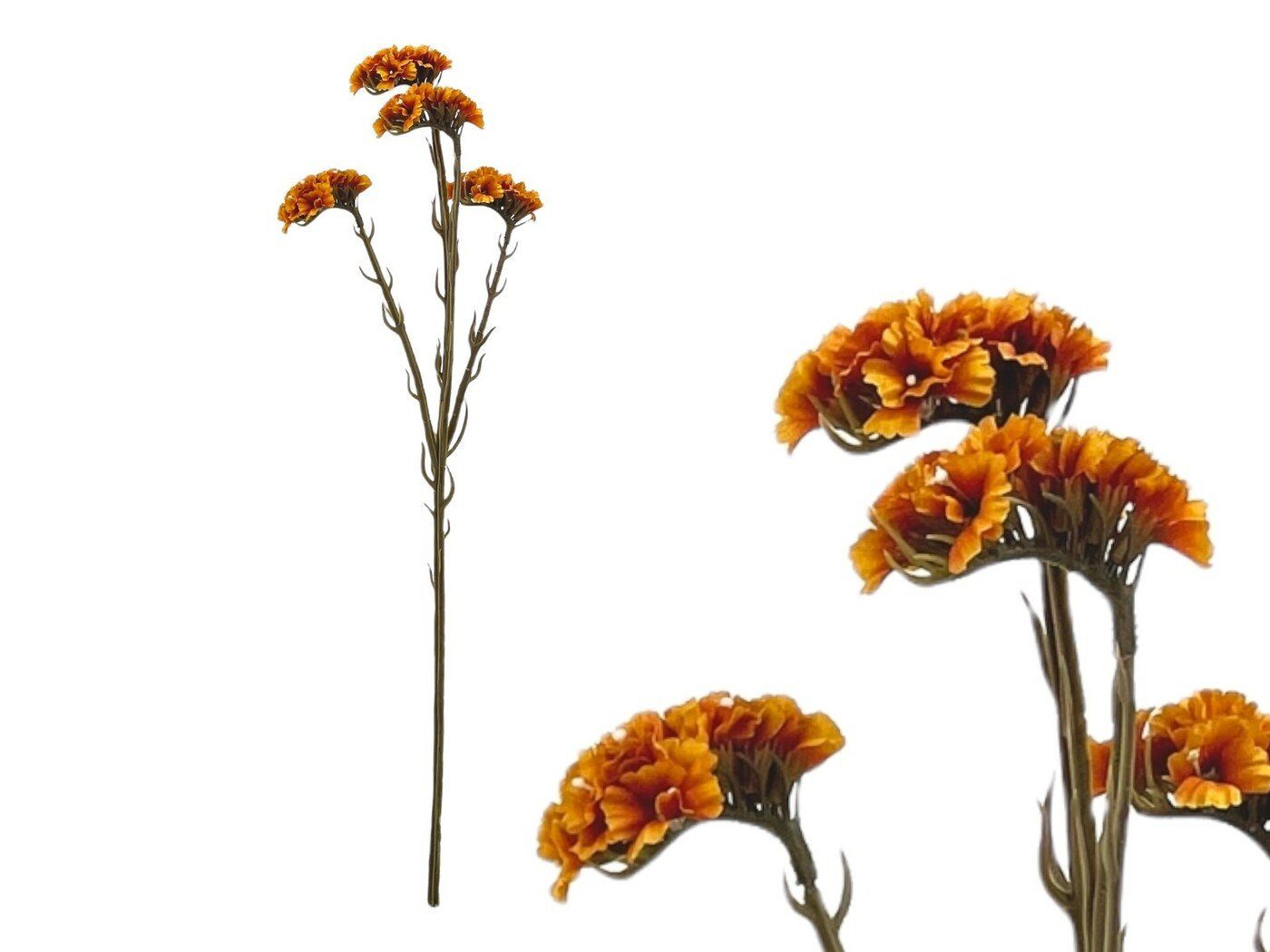 012689.21 ARTIFICIAL- STATIS COR:LARANJA - Image 1