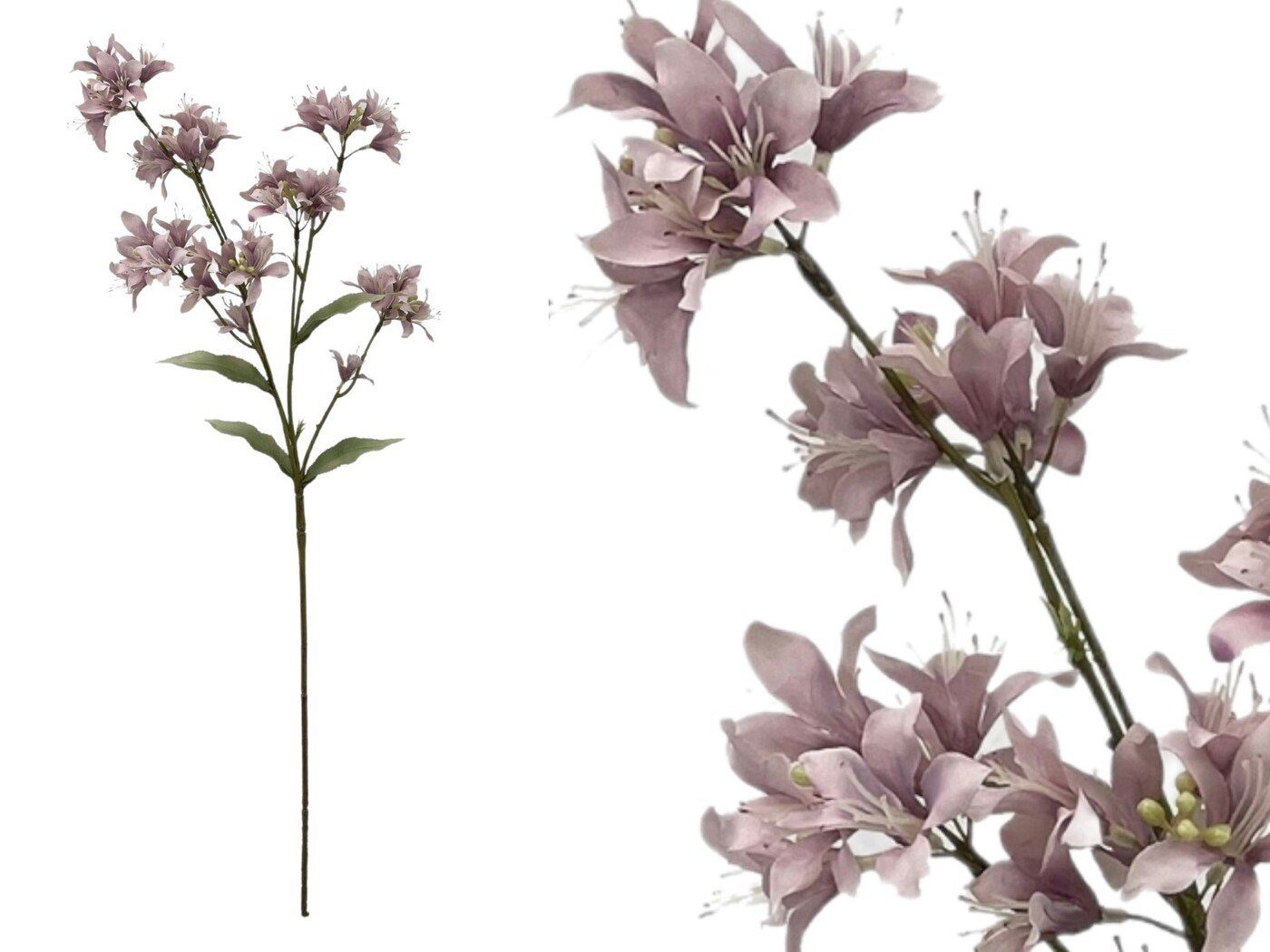 012704.2 ARTIFICIAL- JASMIN COR:BRANCO - Image 1