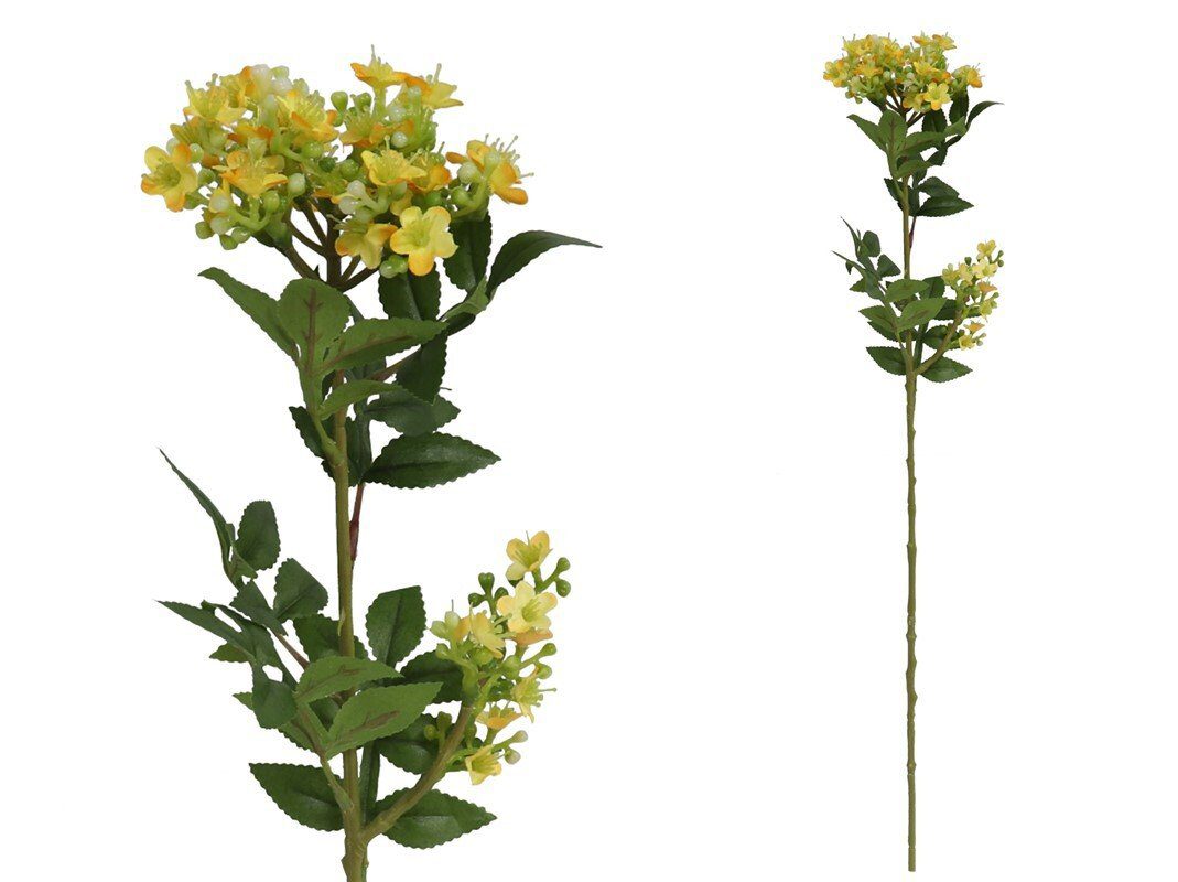 8430540982443 VARA MYOSOTIS 60 CM (AMARELO) - Image 1