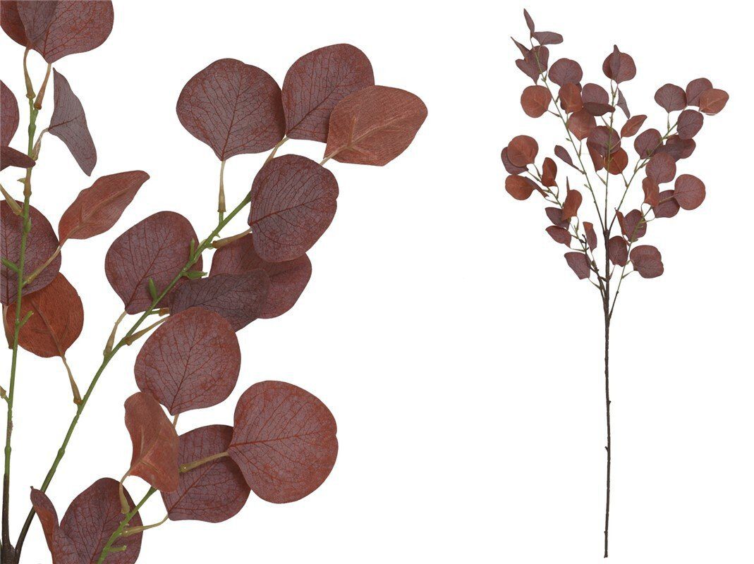 8445393025957 HASTE EUCALYPTUS X5 96CM (BORDO) - Image 1