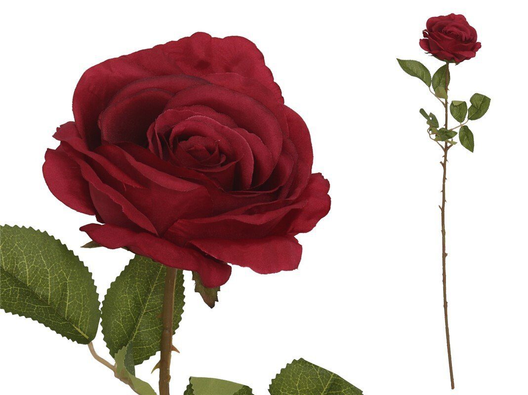 8445393026145 PE DE ROSA X 77 CM (VERMELHO) - Image 1