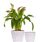 VASO PLASTICO "VERO" 13CM COR:VERMELHO