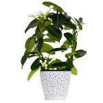 VASO PLASTICO "VERO" 13CM COR:PRETO