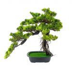 PLANTA ARTIFICIAL "PODOCARPUS BONSAI" COR VERDE