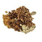 MOLHO MIX FLORES SECAS 45/55CM 250GR NATURAL