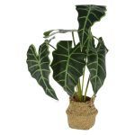 PLANTA- CESTA ALOCASIA ARTIFICIAL 51CM