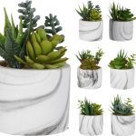 VASO CERAMICA C/SUCULENTAS