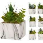 VASO CERAMICA C/SUCULENTAS