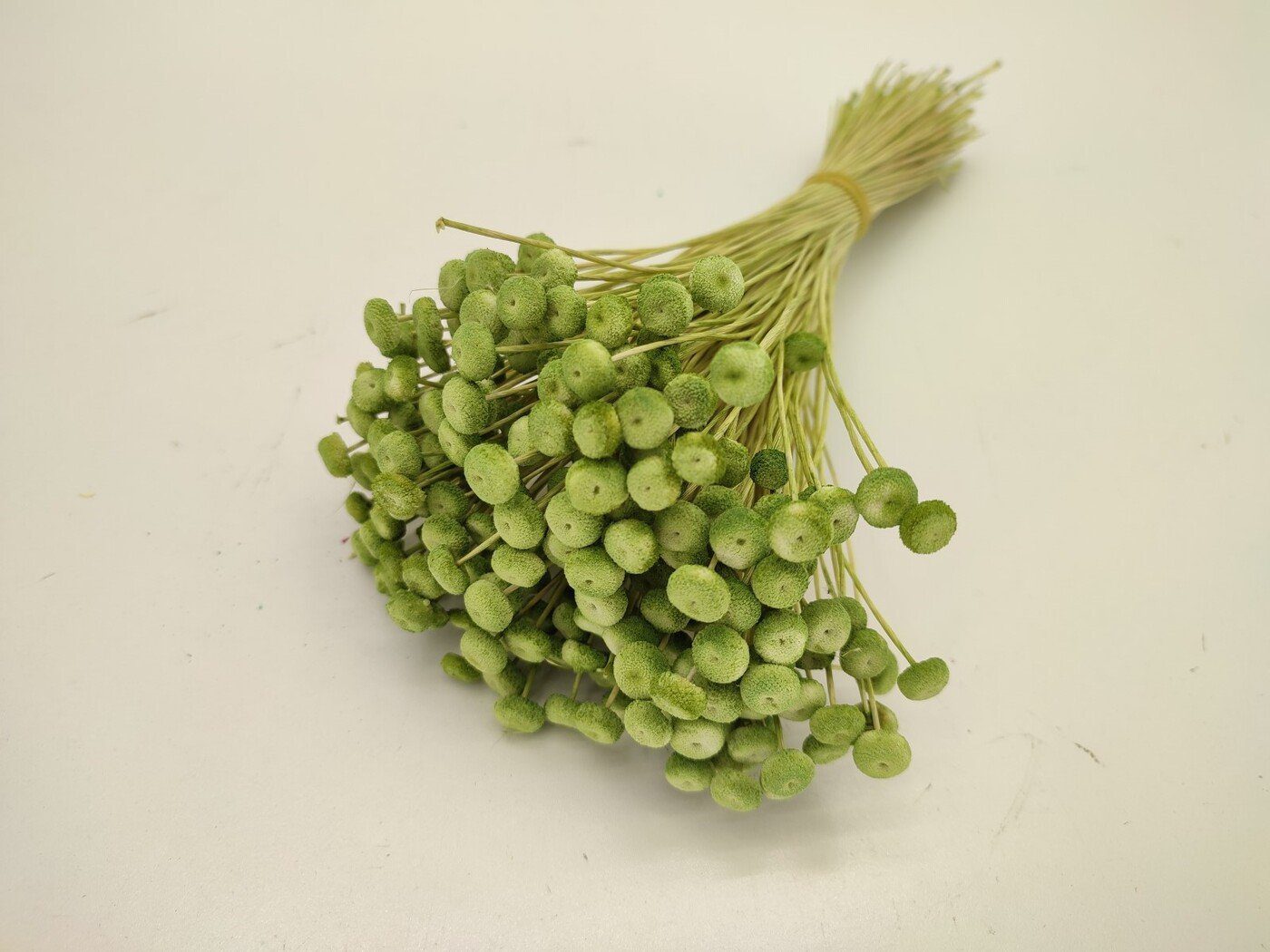 6275-4 verde mela AMARELINHO 30CM/80GR APROX. COR:VERDE - Image 1