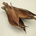 FOLHA COCO NATURAL 25/35CM 12UNID