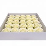 FLOR ARTIFICIAL -CAIXA C/25 ROSAS SABAO CREME 33X33CM