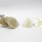 BASE MADRE-PEROLA +-300GR 30UNID