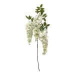 GLICINIA PENDULAR X 3 COR:BRANCO