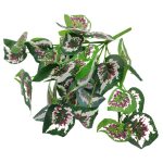 MOLHO BEGONIA VERMELHO 35CM