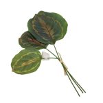 MOLHO C/3 FOLHAS 34CM