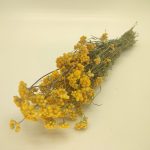 LONA NATURAL COR:AMARELO