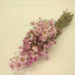 RODANTE NATURAL COR:ROSA