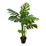 PLANTA MONSTERA 110MTS