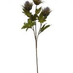 HASTE DE CARDO X3 COR:LILAS