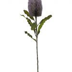 HASTE PROTEIA COR:ROSA