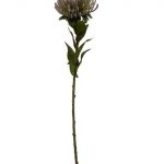 ARTIFICIAL PROTEIA ARANHA COR:LILAS