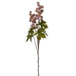 HASTE BOLAS DE RICINO