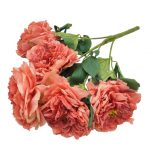 ARTIFICIAL- MOLHO PEONIAS