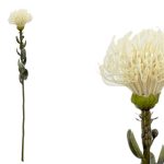 ARTIFICAL- PE PROTEA