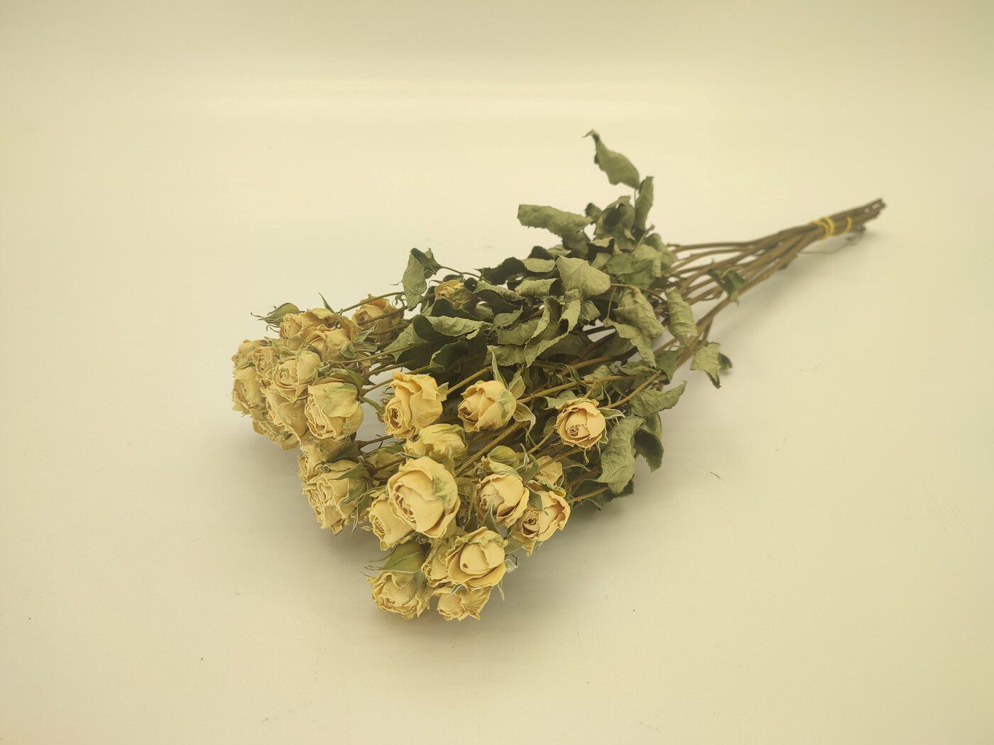 01597.000.0 ROSAS STªTEREZINHA MOLHO COR:BRANCO - Image 1