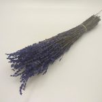 LAVANDA PRESERVADA NATURAL