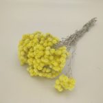 ARENARIUM NATURAL COR:AMARELO