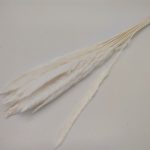 PAMPAS 70CM 20UNID COR:BLEACHED