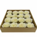 FLOR ARTIFICIAL -CAIXA C/16 CAMELIAS SABAO CREME 33X32CM