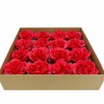 FLOR ARTIFICIAL -CAIXA C/16 CAMELIAS SABAO VERMELHO 33X32CM