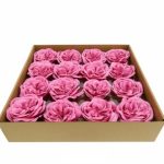 FLOR ARTIFICIAL -CAIXA C/16 CAMELIAS SABAO ROSA 33X32CM