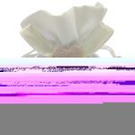 SACO SERAPILHEIRA DIA.13X12CM ALT. COR:ROSA