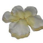 PETALAS DE ROSA COR: BRANCO