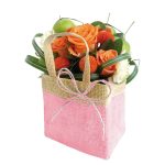 SACO FIJI EMB.C/5UNID 16X10X16CM