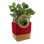 SACO SEASIDE EMB.C/5UNID 14X14X23.5CM