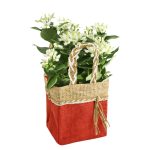 SACO MOOREA EMB.C/5 UNID 11X11X12,5CM