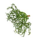 FLOR ARTIFICIAL HASTE PEQ. (VERDE) 18CM