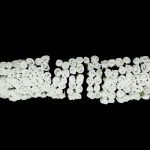 ROSA MINI 1CM 12UNID X12 MOLHOS COR: BRANCO