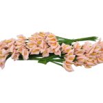 SACO C/12 MOLHOS MINI FOAM 2CM COR: SALMAO