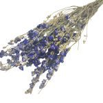 DELPHINIUM AZUL NATURAL MOLHO