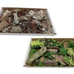 MUSGO C/CASCA PINHEIRO APROX. 370GR